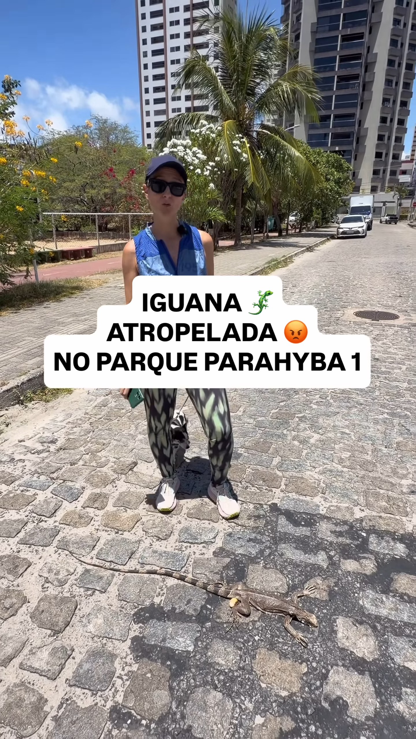 Moradora na rua de paralelepípedos onde a iguana foi atropelada, perto do Parque Parahyba I