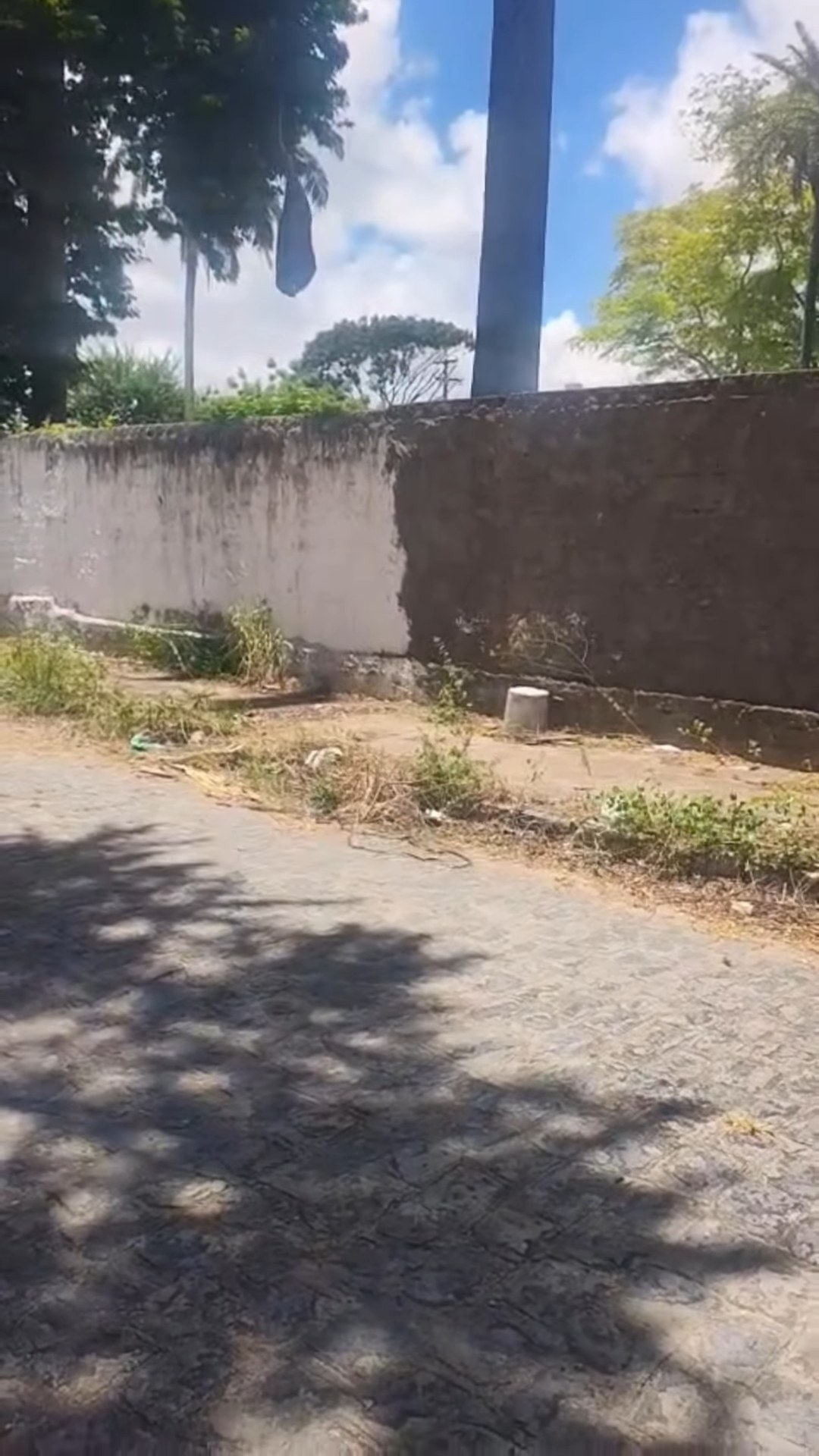 Calçada da Rua Paraíba depois da retirada dos galhos
