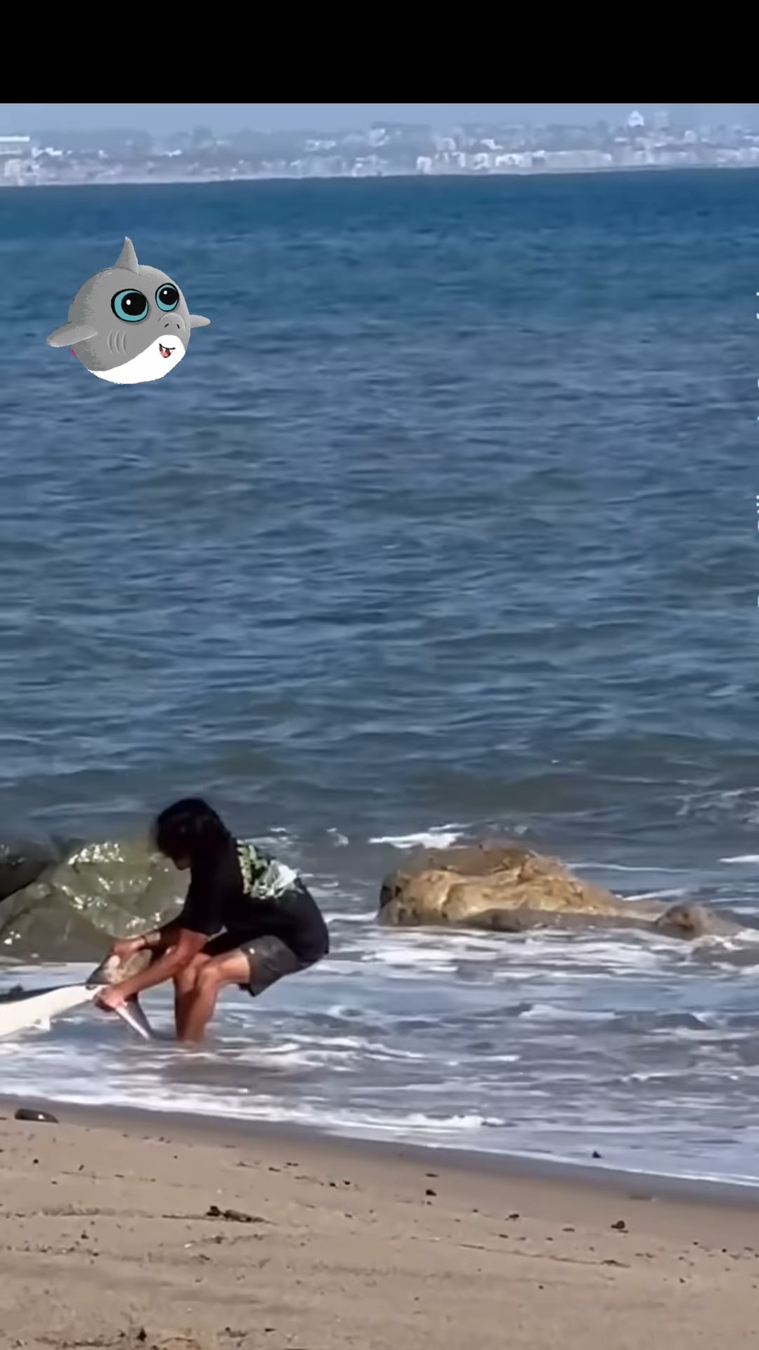 Homem devolvendo um tubarão encalhado ao mar