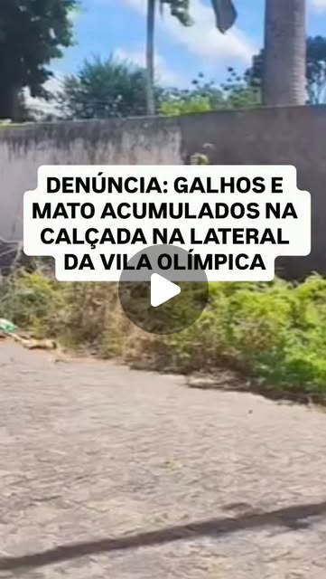 Galhos e mato acumulados na calçada ao lado da Vila Olímpica
