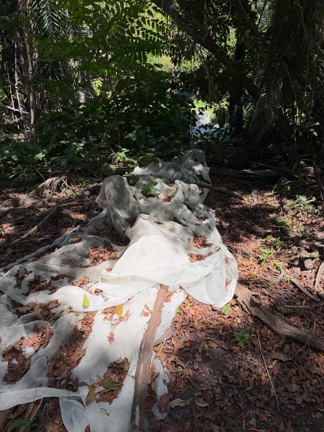 Restos de obra e lixo descartados na vegetação da várzea do Rio Jaguaribe
